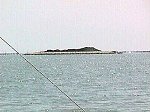 Fisolo